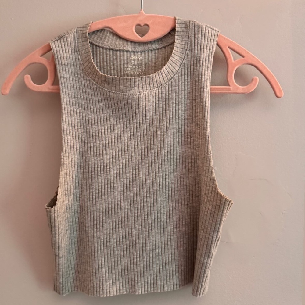 Aerie Rebel Cropped Tank